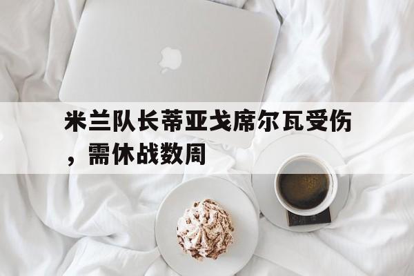 开云体育登录入口-米兰队长蒂亚戈席尔瓦受伤，需休战数周的简单介绍